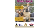 Bulldog Francés. Belleza. CONCURSO MONOGRÁFICO AEFRBF 2018 VIGO (Pontevedra   España)
