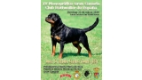 Belleza. IV MONOGRÁFICO GRAN CANARIAS DEL CLUB ROTTWEILER DE ESPAÑA (Las Palmas   España)