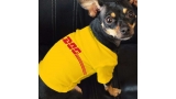 La colección incluye una camiseta amarilla con un logo DOG rojo que recuerda a la célebre insignia de DHL