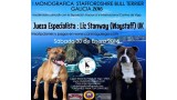 Belleza. I Monográfica Staffordshire Bull Terrier Galicia 2016 (Pontevedra - España)