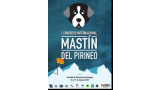 Mastín del Pirineo. 