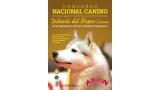 Belleza. CONCURSO NACIONAL CANINO (Cáceres   España)