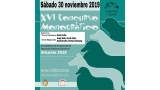 Belleza. XVI CONCURSO MONOGRÁFICO DEL COLLIE CLUB DE ESPAÑA (Alacant   España)