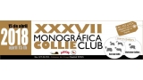 XXXVII Monográfica del Collie Club de España