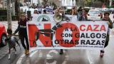 Ciudades de toda España manifiestan en contra de la caza con galgos y otras razas