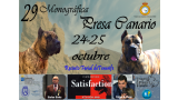 Belleza. 29 MONOGRÁFICA DEL DOGO CANARIO (Santa Cruz de Tenerife   España)