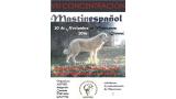 Mastín Español. Belleza. VIII CONCENTRACIÓN MASTÍN ESPAÑOL  (Girona   España)