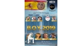 Bulldog Inglés. Belleza. BOY 2020   EXPOSICIÓN MONOGRÁFICA DEL BULLDOG INGLES (Toledo   España)