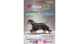 EXPOSITION CANINE INTERNATIONALE (CACS   CACIB)