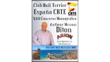 Belleza. XXII CONCURSO MONOGRÁFICO DEL BULL TERRIER (Alacant   España)