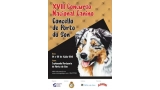 XVIII Concurso Nacional Canino Concello de Porto do Son