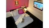 D Pet Hotels Chelsea(Photo  D Pet Hotels Chelsea))