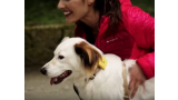 GPS para perros y gatos