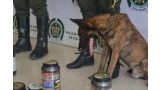 Pastor Holandés. Jalisco  el agente canino de la Policía Antinarcótico de Montería (El Heraldo)