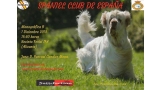 Monográfica B del Spaniel Club de España