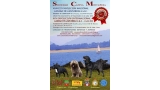 Belleza. Exposición Nacional e Internacional de Somo CAC   CACIB (Cantabria   España)