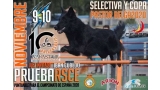Agility. Prueba RSCE Y Selectiva del Pastor Belga (Asturias   España)