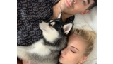 Joe Jonas y Sophie Turner junto a su cachorro fallecido (Fuente  Instagram)