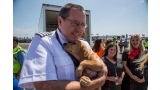Southwest Airlines transportó decenas de perros y gatos a San Diego