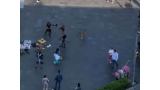 Un perro se une al grupo de danzantes en México. (Foto  captura del vídeo)
