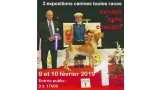 2 EXPOSITIONS CANINE INTERNATIONALE (CACS   CACIB)