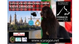 Cartel Exposición Internacional  Canina XXXVII Zaragoza
