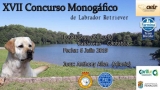 Belleza. XVII CONCURSO MONOGRÁFICO DEL LABRADOR RETRIEVER (Cantabria   España)