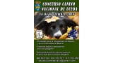 CONCURSO CANINO NACIONAL DE UCEDA