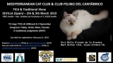 TICA   Traditinal Cat Show