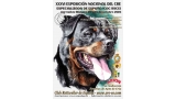 Rottweiler. Belleza.  XXXVI Exposición Nacional del CRE Especializada de España (Vizcaya   España)