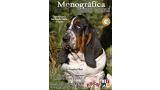 Belleza. EXPOSICIÓN MONOGRÁFICA DEL BASSET HOUND (Toledo   España)