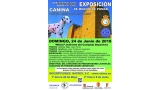 XXX EXPOSICIÓN CANINA INTERNACIONAL y XXX EXPOSICIÓN CANINA NACIONAL de Medina de Pomar