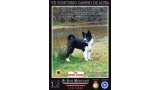 CONCURSO NACIONAL CANINO