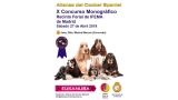 Belleza. X CONCURSO MONOGRÁFICO DEL COCKER SPANIEL (Madrid   España)