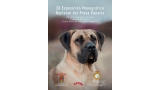 Dogo Canario. Belleza.  28 Exposición Monográfica Nacional de Presa Canario (Las Palmas   España)