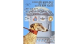Belleza. III CONCURSO MORFOLÓGICO DEL GALGO ESPAÑOL (Toledo   España)