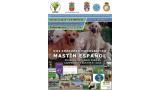 Mastín Español. Belleza. CONCURSO MONOGRÁFICO del MASTÍN ESPAÑOL (Cantabria   España)