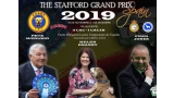 Staffordshire Bull Terrier. Belleza. THE STAFFORD GRAND PRIX (Alacant   España)