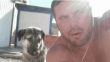 El soldado Ken Wyrsch y el perro Ollie juntos de nuevo (Youtube)