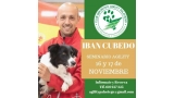 Cursos. Seminario de Agility (Sevilla   España)