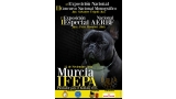 Bulldog Francés. Belleza. II CONCURSO MONOGRÁFICO AEFRBF y I ESPECIAL AEFRBF  (Murcia   España)