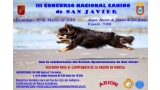 Belleza. III CONCURSO CANINO DE SAN JAVIER (Murcia   España)
