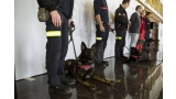 La Unidad Canina de los Bomberos de Zaragoza estará operativa en 1 año
