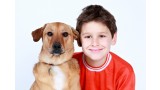 Nueva terapia con perros para niños con problemas de intestino irritable y dolor abdominal.