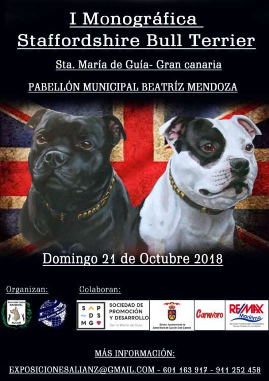 Asociación Canina Nacional - ACCAM - Belleza. I Monográfica de Staffordshire Bull Terrier Gran Canaria 2018 (Las Palmas   España)