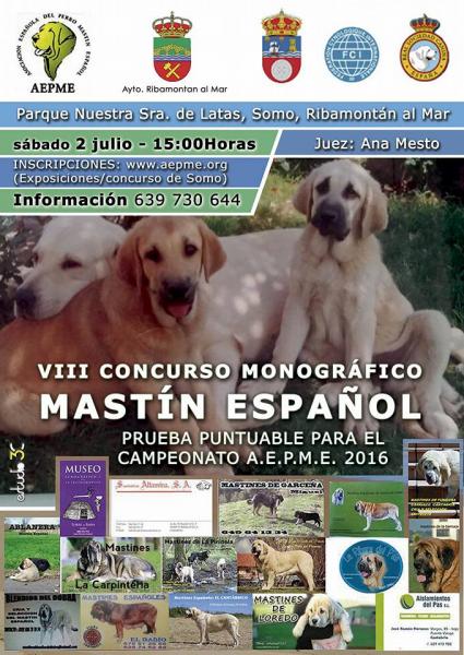 Asociación Española del Perro Mastín Español - Mastín Español. Belleza. CONCURSO MONOGRÁFICO del MASTÍN ESPAÑOL (Cantabria   España)