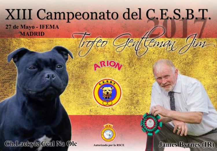 CLUB ESPAÑOL DEL STAFFORDSHIRE BULL TERRIER - Staffordshire Bull Terrier. Belleza. XIII CAMPEONATO DEL C.E.S.B.T   Trofeo Gentleman Jim (Madrid   España)