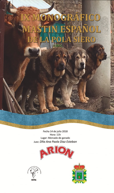 Asociación Española del Perro Mastín Español - Belleza. IX CONCURSO MONOGRÁFICO DEL MASTÍN ESPAÑOL 2018 (Asturias   España)