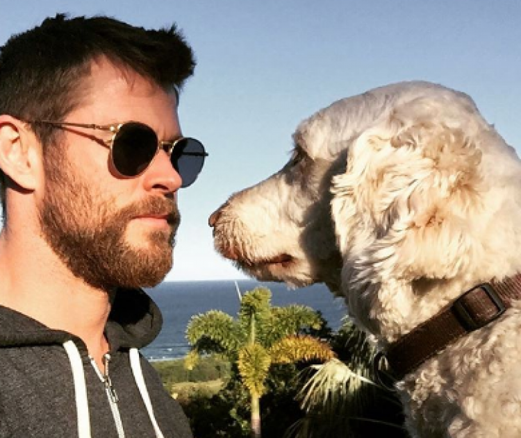 Instagram chrishemsworth Instagram chrishemsworth