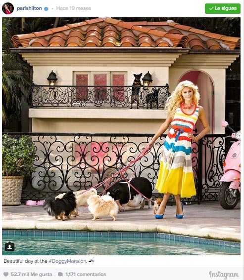 Paris Hilton con sus perros delante de la mansión de perros. Foto  Twitter Paris Hilton